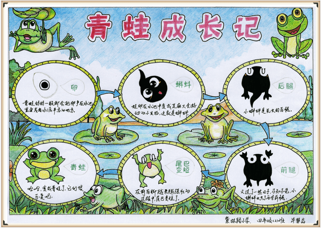 生物多样性看山西自然笔记大赛作品展六