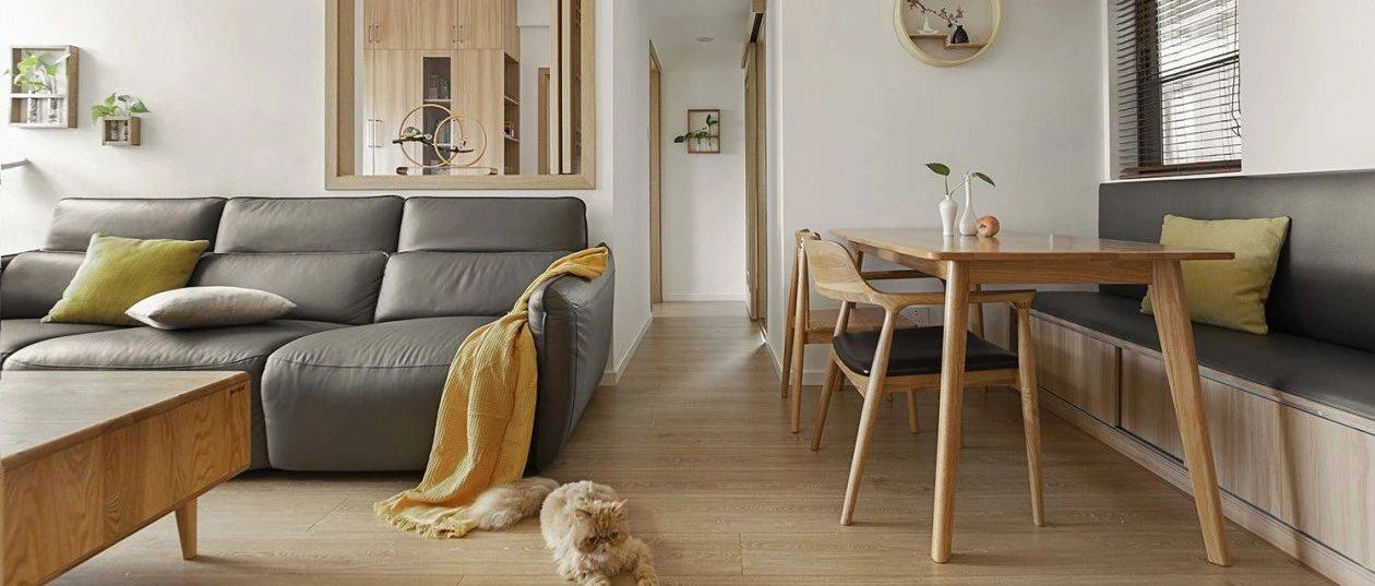 两人一猫,爷爷奶奶73m²2室养老房,又是想提前退休的一天_设计
