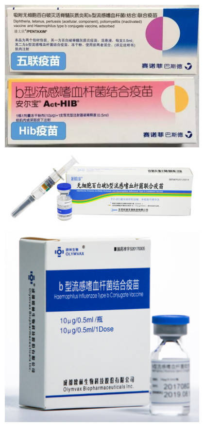 接种|隐藏的疾病每年杀死数千儿童，研究建议Hib疫苗进免疫规划