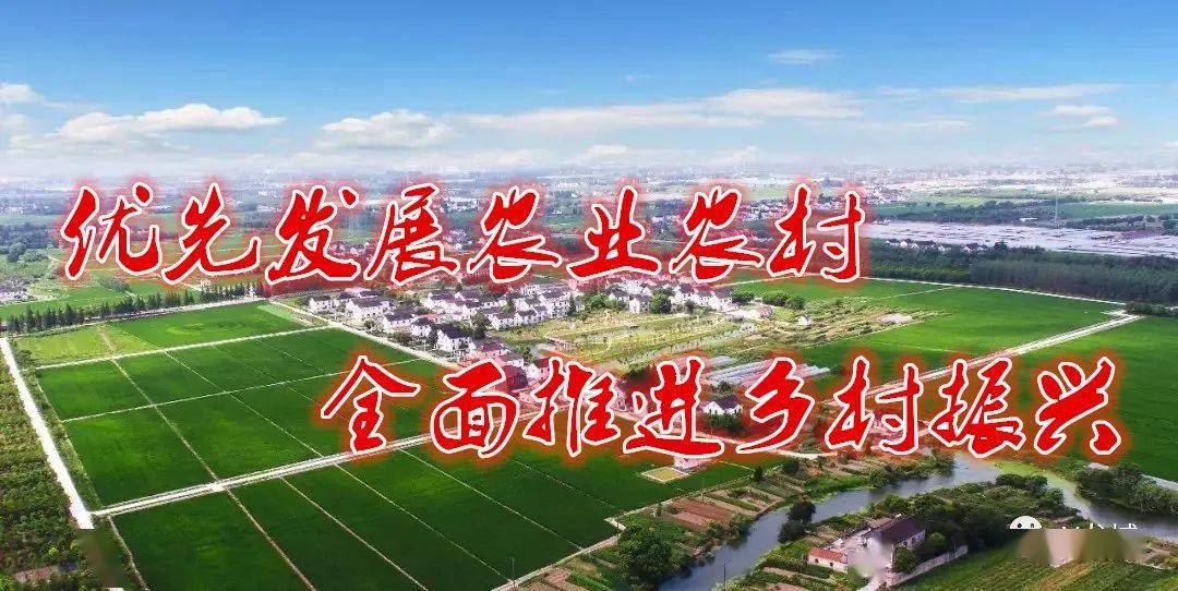 发展龙城区高质量开创新时代乡村振兴新篇章龙城区高质量发展两区建设