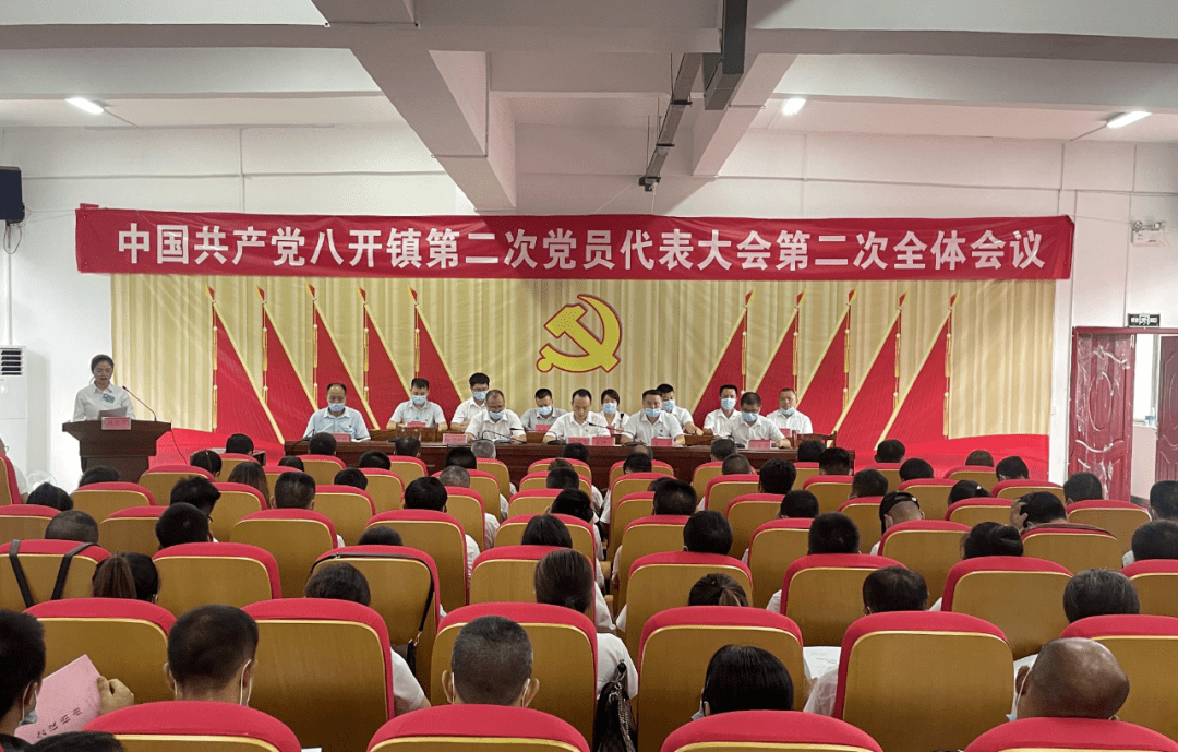 绘出好蓝图奋起新征程榕江县19个乡镇圆满完成党委换届工作