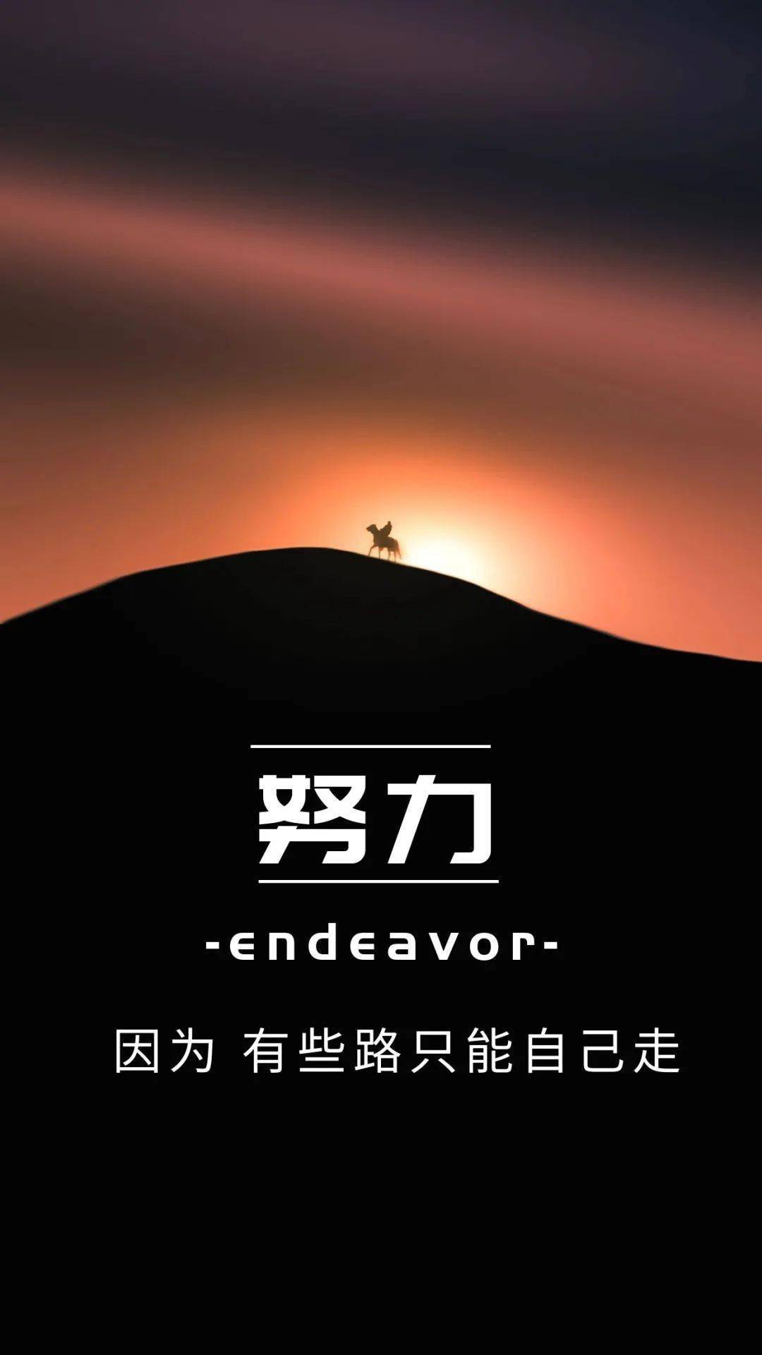 828早安新的一天新的开始