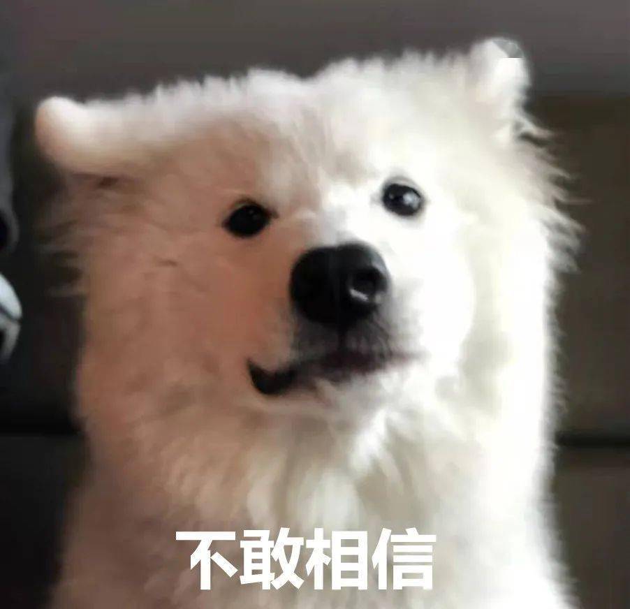 a206a57cc7644932a9dbf00fbc37e04c.jpeg