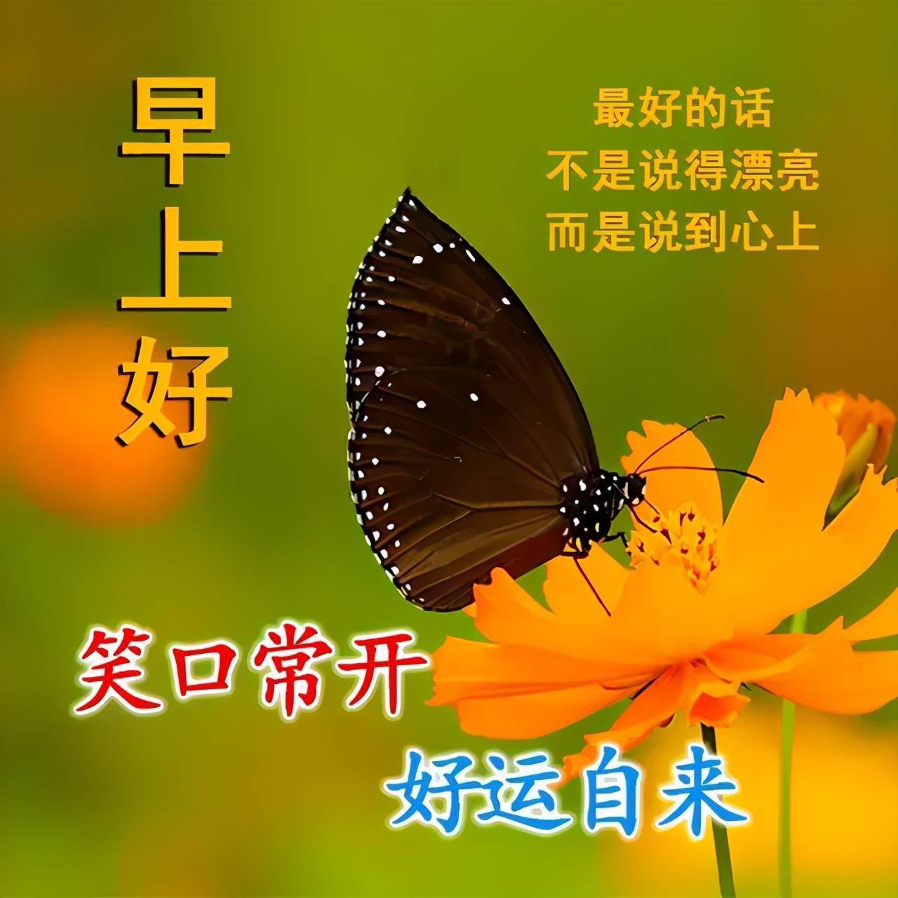 朋友的祝福總是很早願你每天微笑心情大好祝你健康幸福早安