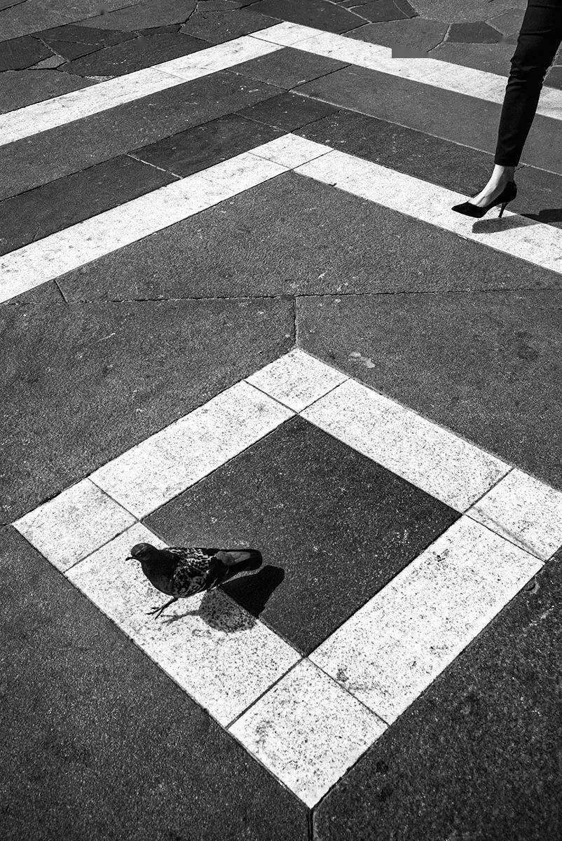 2021 年度极简主义摄影奖照片欣赏