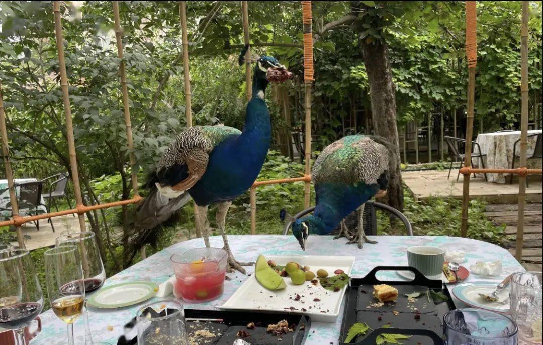 不出京 去哪玩 奥之旅向您推荐北京宝藏景点 园区