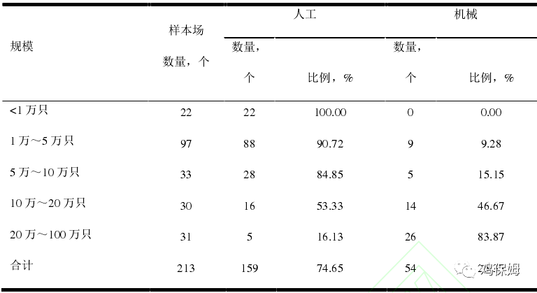 蛋和鸡简谱_小鸡简笔画(3)