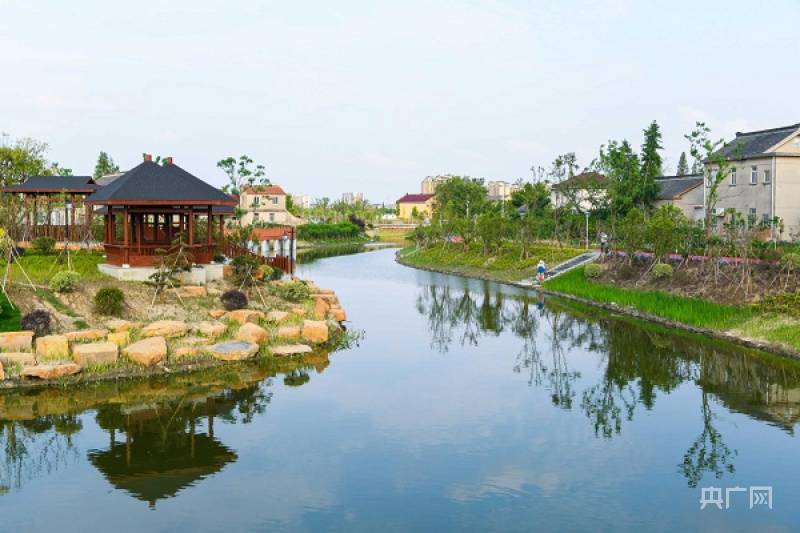 泰州姜堰:因水制宜扮靓幸福河湖