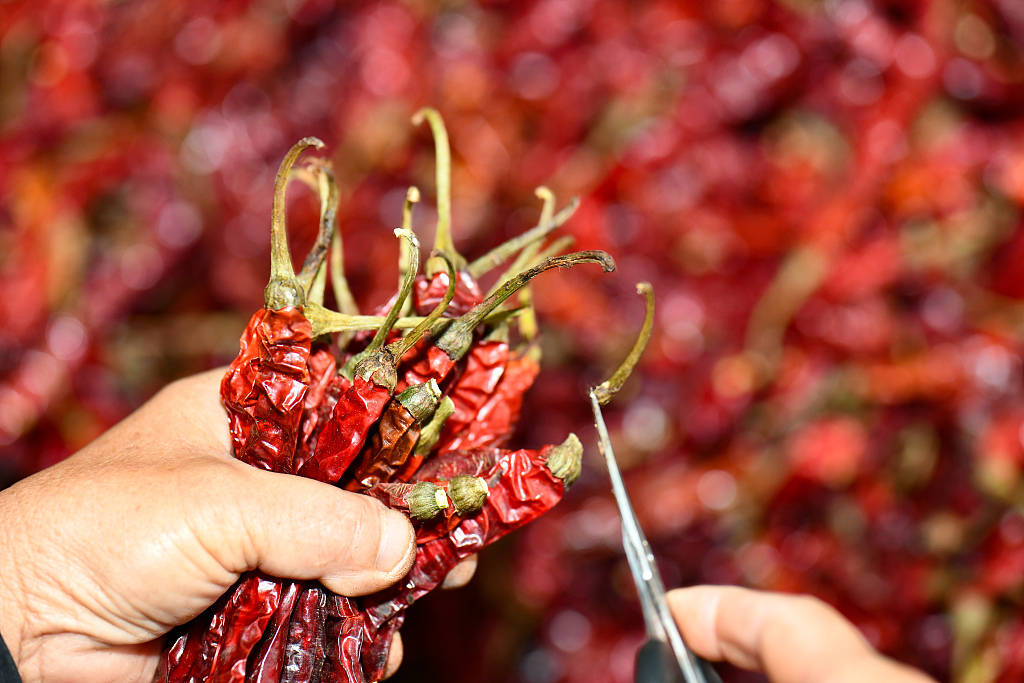 食物|美媒：是什么让我们爱上辣椒带给我们的“痛苦”？