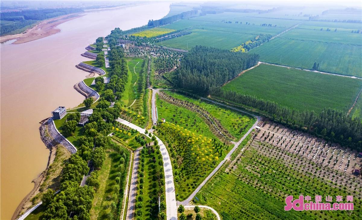 邹平县免费网站建设_(邹平县免费网站建设项目招标)