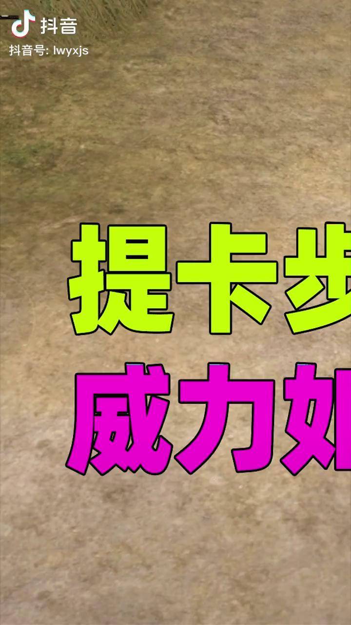 蓝尾揭秘545国际体验服新武器提卡步枪它的威力如何