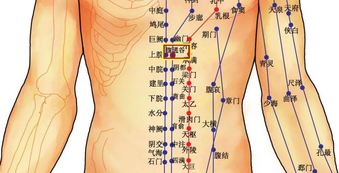 最简单的疏通腹部的方法几乎可以调理一切慢性病