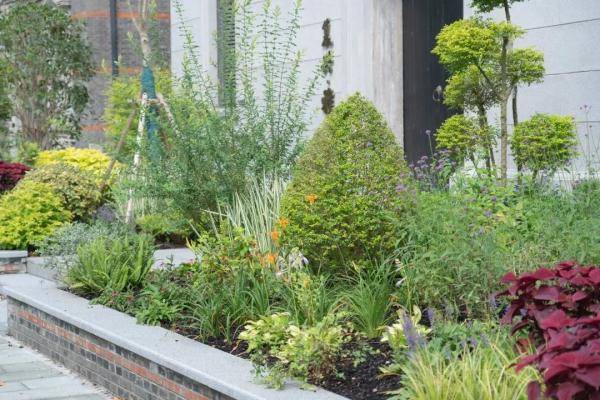 修缮|【探索】“光音花园”亮相黄浦，历史保护建筑与生态花园时空互融