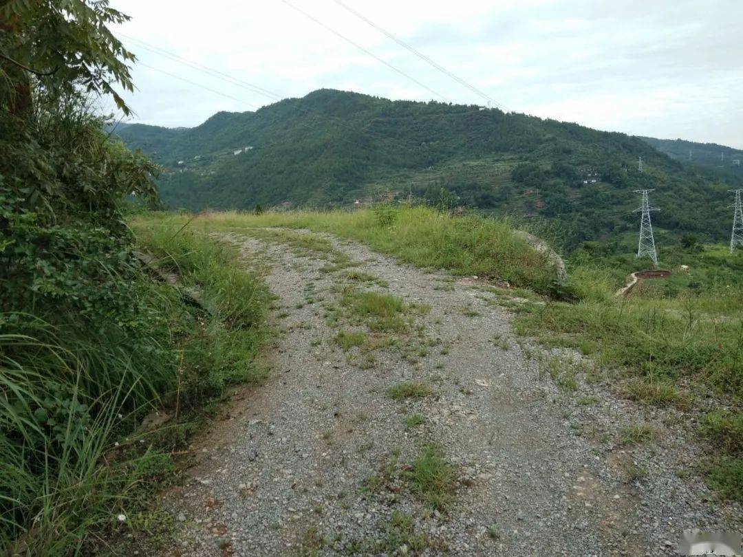 不一般的乡间小路 网友@老衲喝酒也吃:双龙镇新安村公路这还是九