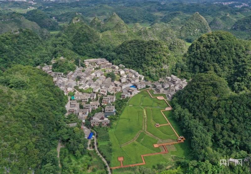 贵州安顺镇宁自治县乡村振兴驻村工作队在行动