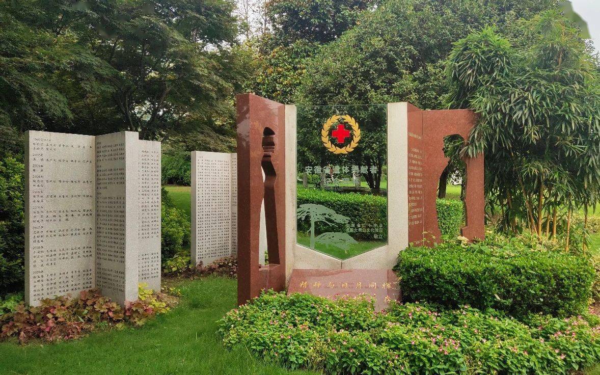 夫妇|一对夫妇的十次重生