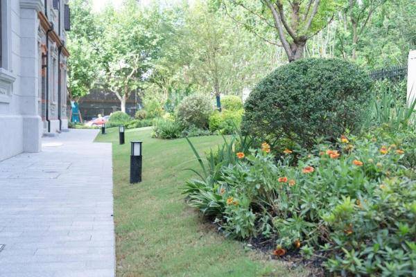 修缮|【探索】“光音花园”亮相黄浦，历史保护建筑与生态花园时空互融