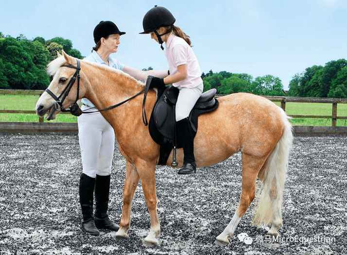 儿童马术入门第一课——全世界学骑马的孩子必读