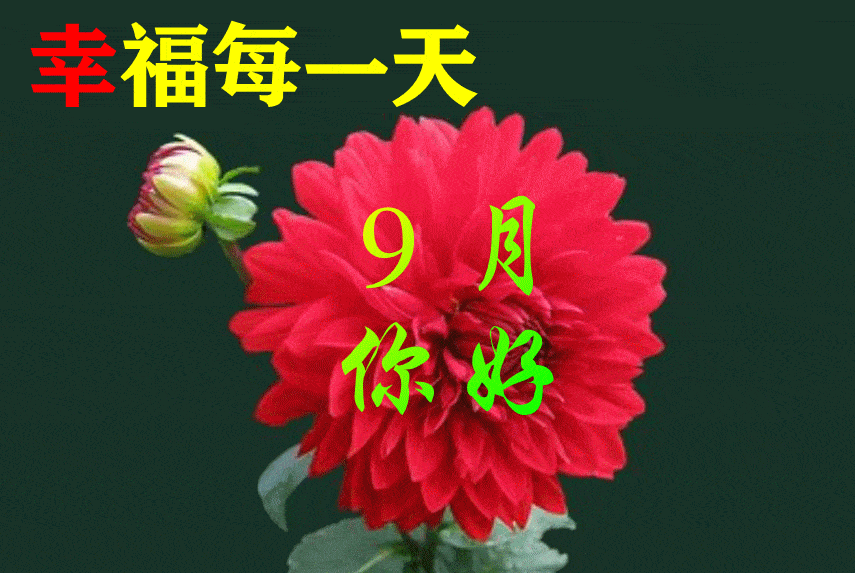 9月1日早上好动态表情图片大全早晨好动图美图大全