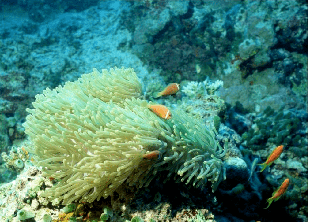 皮肤|观方好物 | 华山医院研制的这罐身体乳，我能囤一辈子