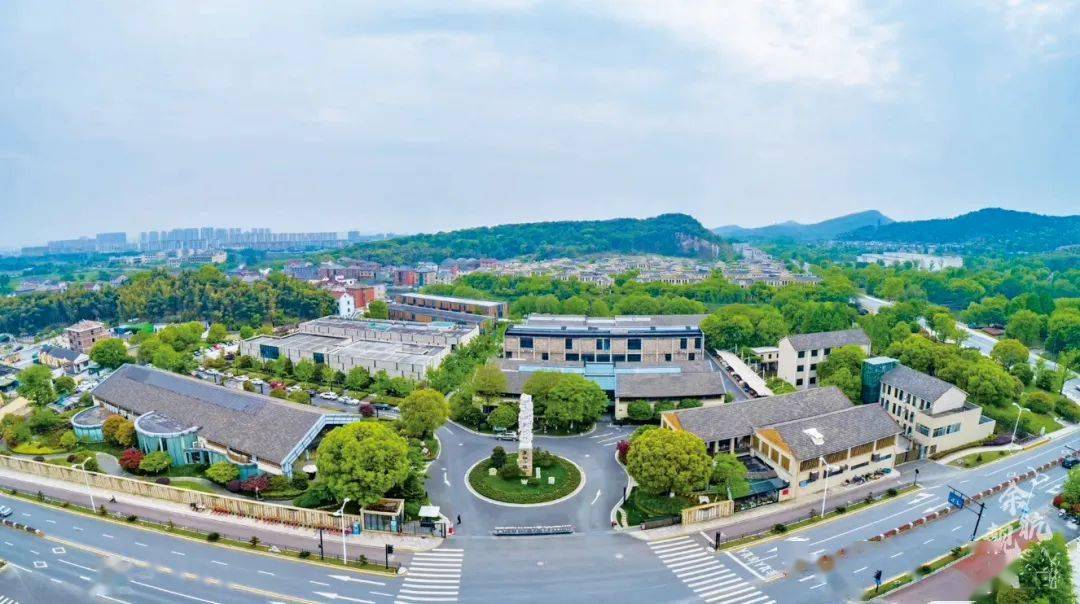 聚焦数字文化,生命科技 总部经济"2 1"产业,良渚正加快产业基础高级化