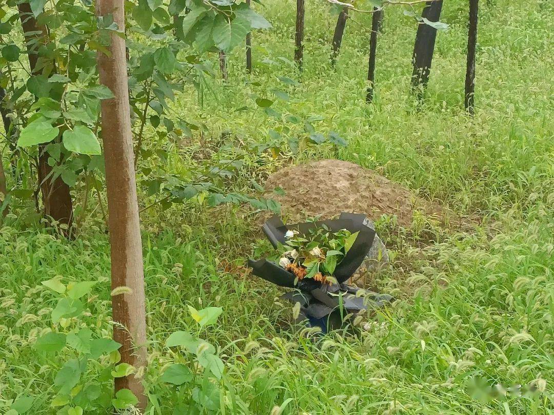 土包前有花束,石块!市民:瘆人!