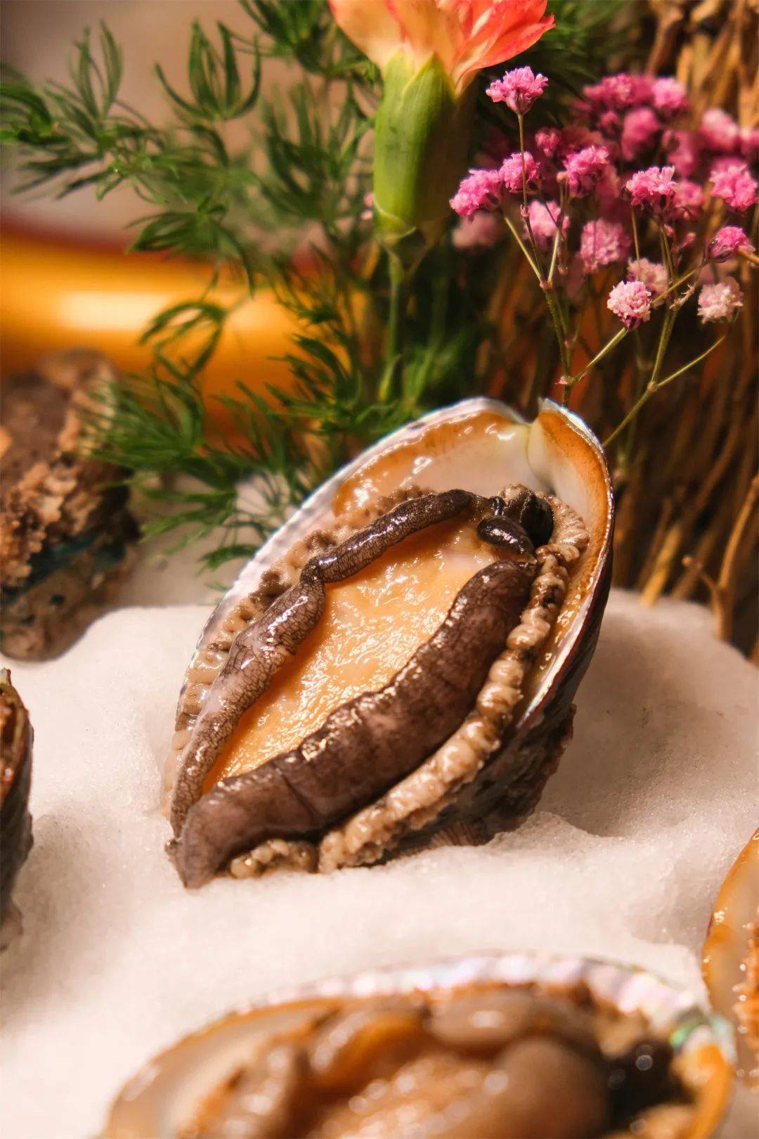 波士顿龙虾椰子鸡7.8折!文末吃鸡加菜福利!_鲍鱼