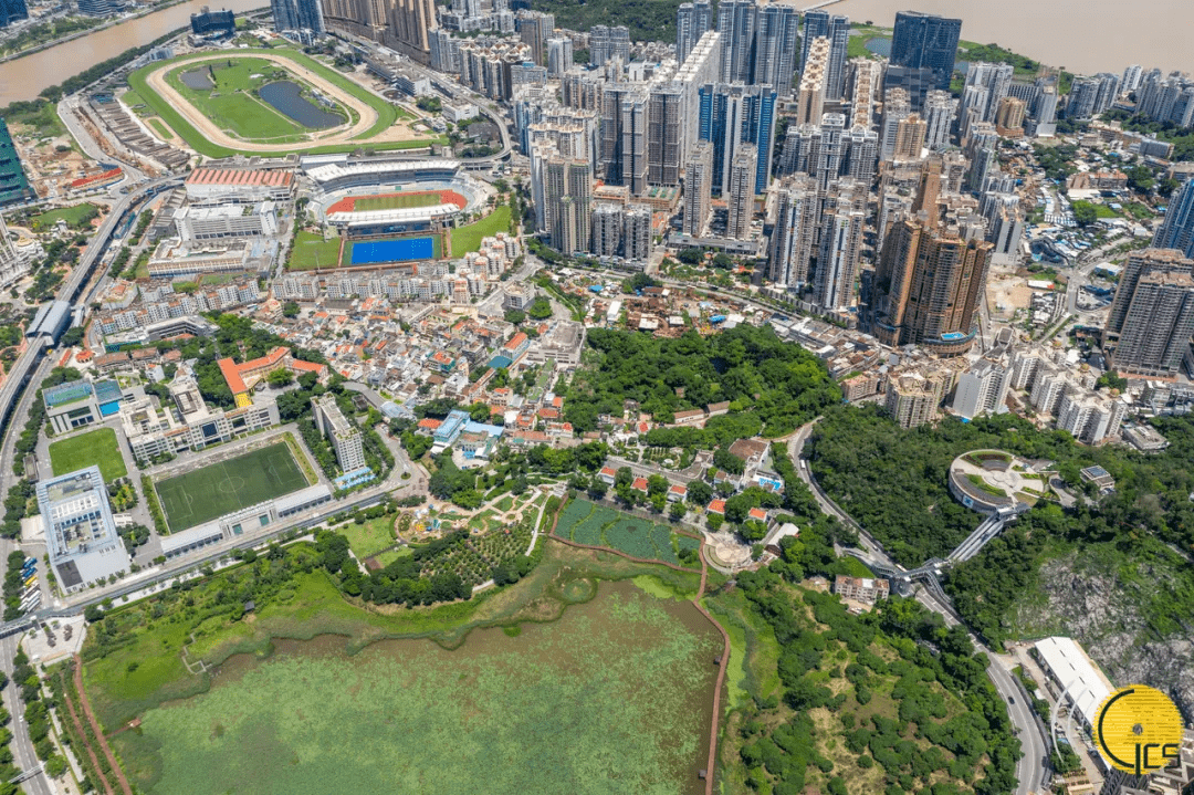 发现澳门氹仔旧城区庙宇逐一数