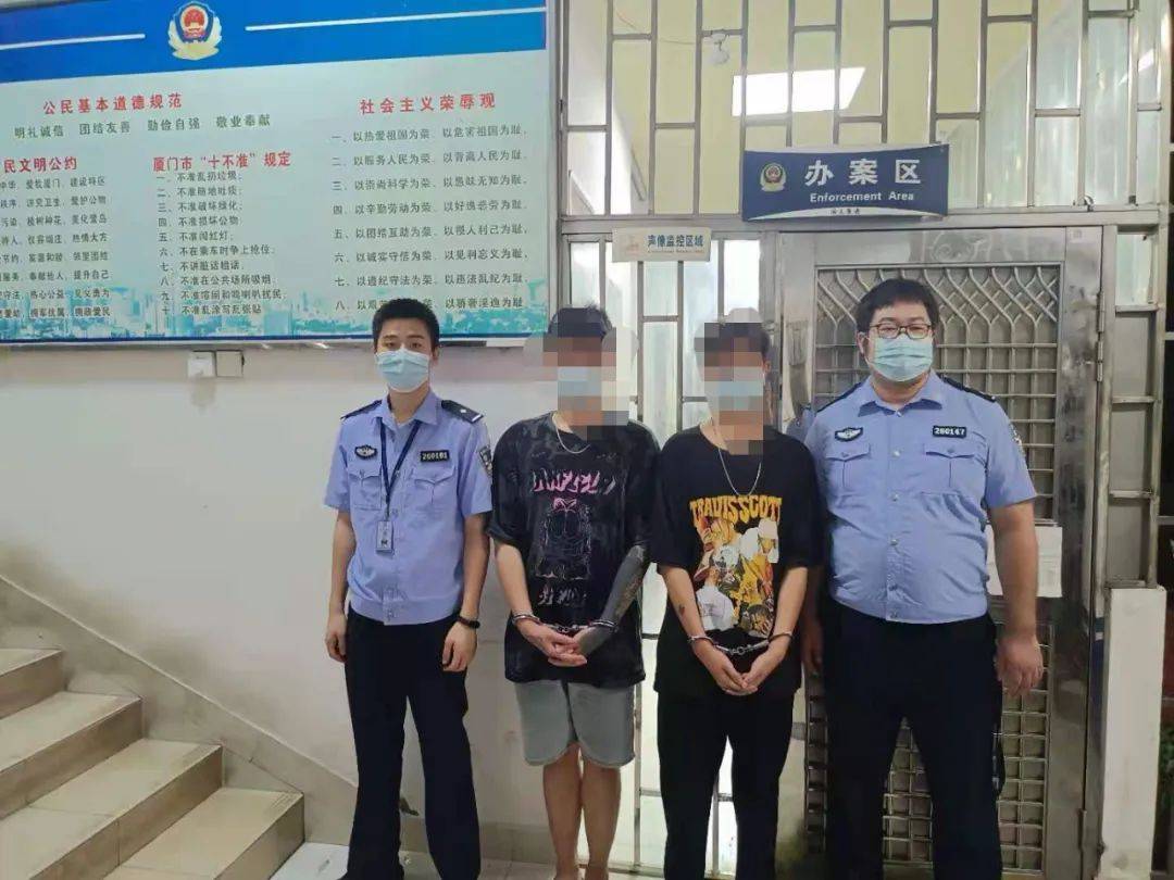 最新消息杨某娜女被判刑