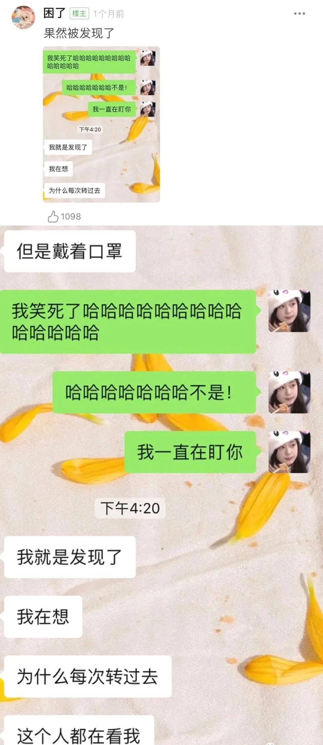 116f506edda24694aa434212f68b762e.jpeg