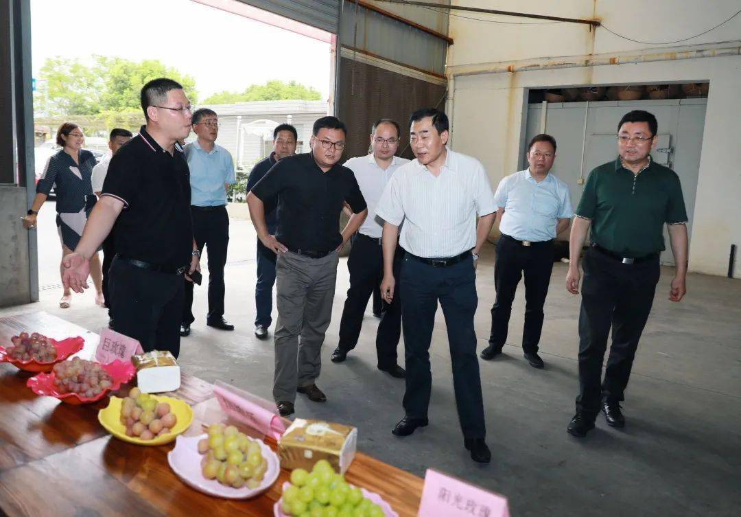 要闻速递浦东新区副区长吕雪城一行来周浦镇调研农业农村工作