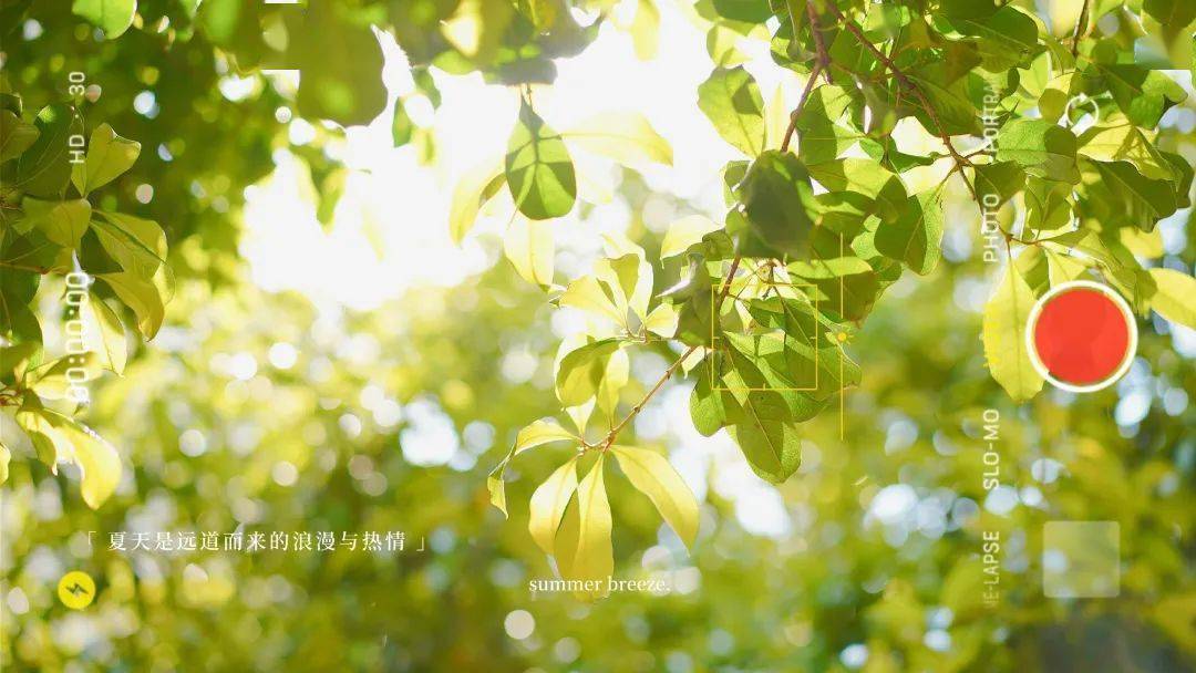 温柔风ins背景图