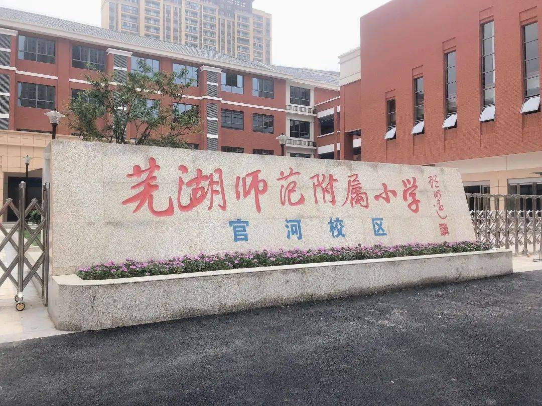 178名新生三山新成立小学芜湖师范附小官河校区9月1日开学