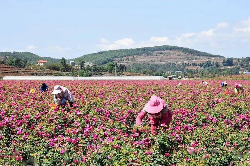 人民网刊登云南宣威项目建设助推旅游产业高质量发展相关文章