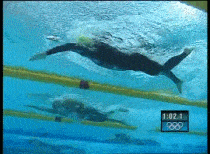 90d04b3cb1394127bbe88f49926d9f0a.gif