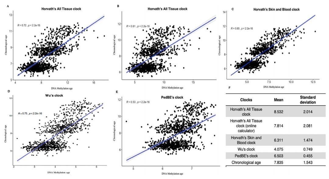 时钟|吸烟害人害己，最新研究表明二手烟会加速儿童衰老