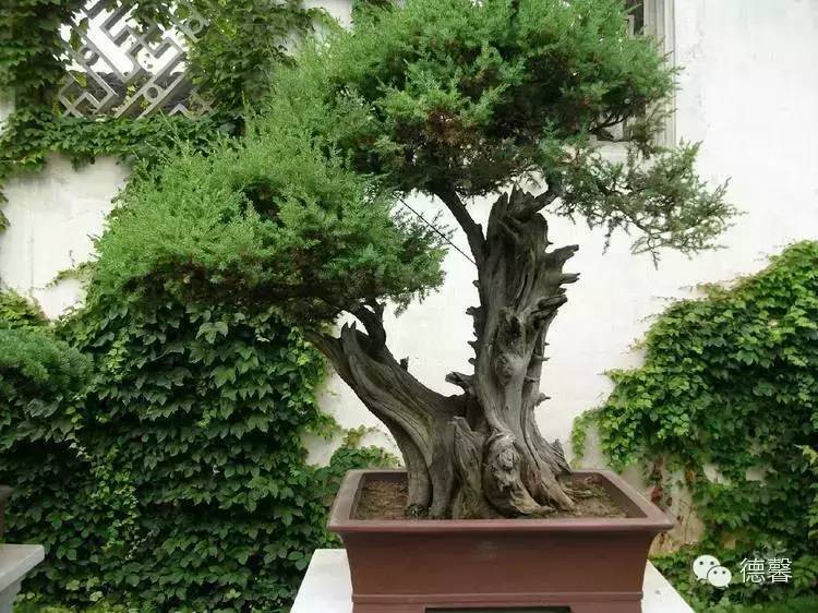 故宫,你未曾见到的美!_建筑