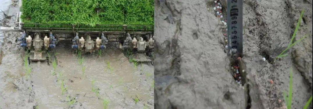 排放|技术流!今年这10项农业重大引领性技术,你知道几个?