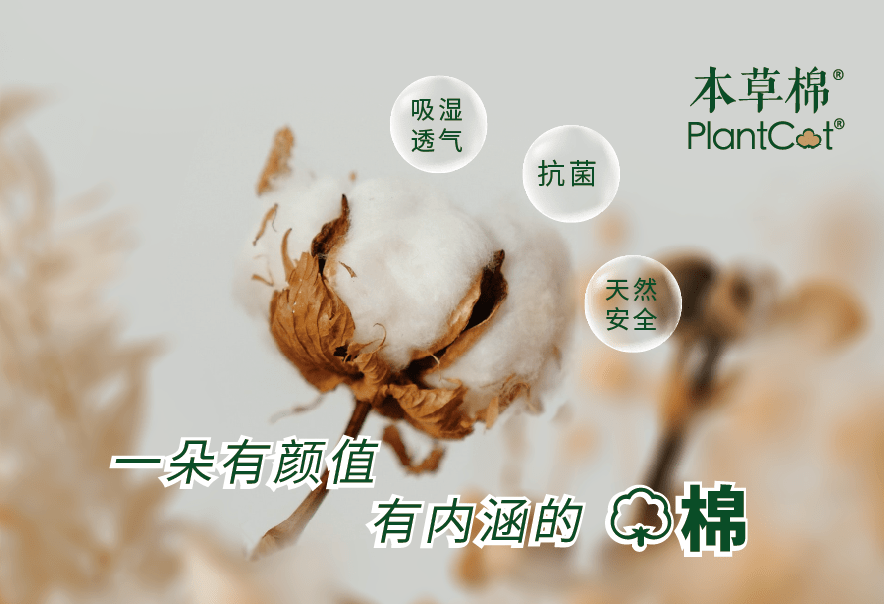 新标本草棉新标准邦特纤维联手全棉时代悦达集团德永佳联合制定国内首