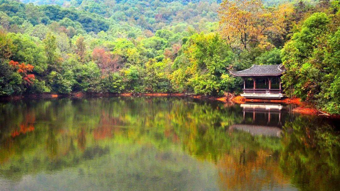 赏半山 半山国家森林公园 盛于唐