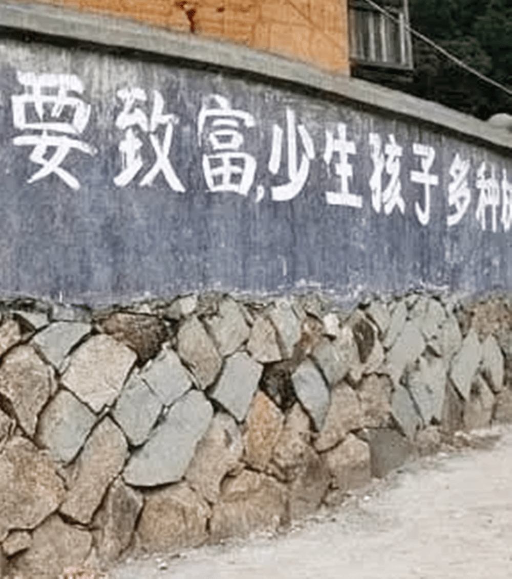 在七八十年代的农村,随处可见都有一个"宣传口号":"要想富,少生孩子多