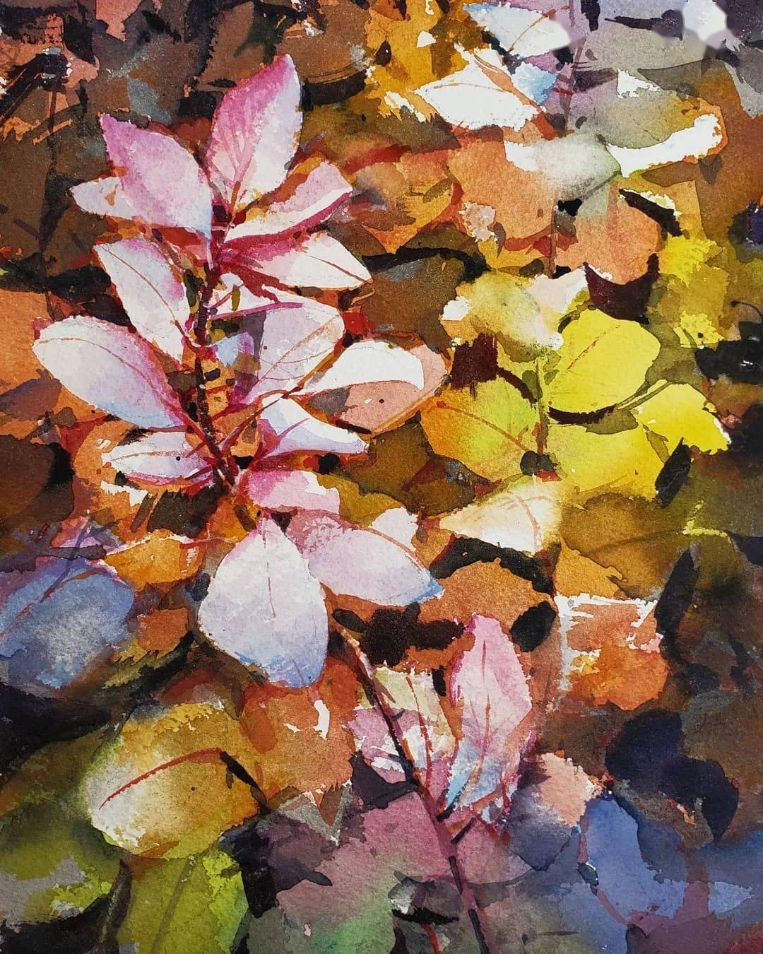 秋天到了,一起来欣赏这位画家笔下的落叶缤纷吧!