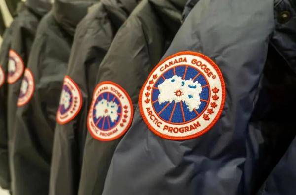 网友|动辄上万一件还总断货的网红羽绒服“翻车”！网友：加拿大鹅还是加拿大鸭？
