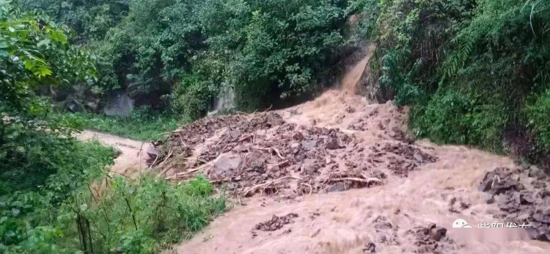 强降雨来袭!安康紫阳县发生多处山体滑坡,多条道路中断