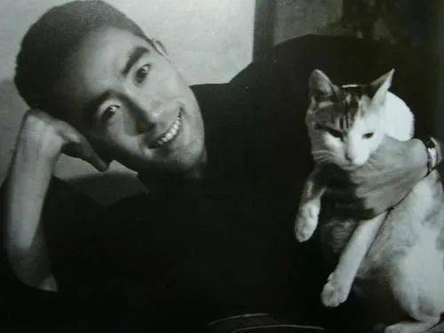 三岛由纪夫的爱猫