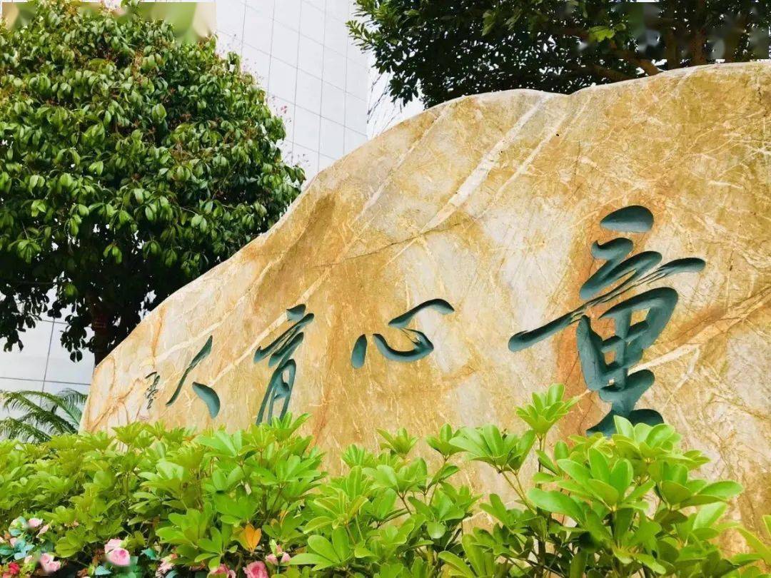 枫树山大桥小学简介图片