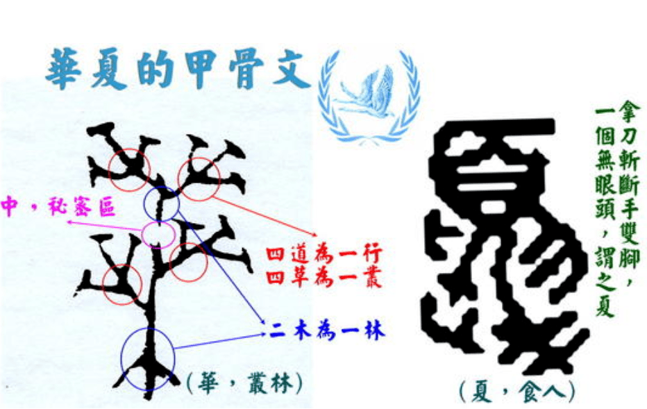 成语病什么盎国_hpv是什么病图片(5)