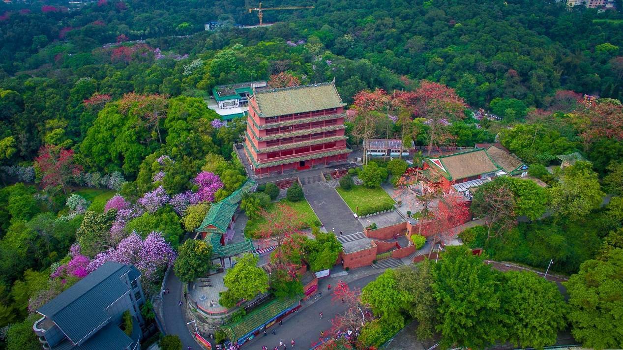 千年越秀山读懂广州城快来讲述你与越秀山的故事