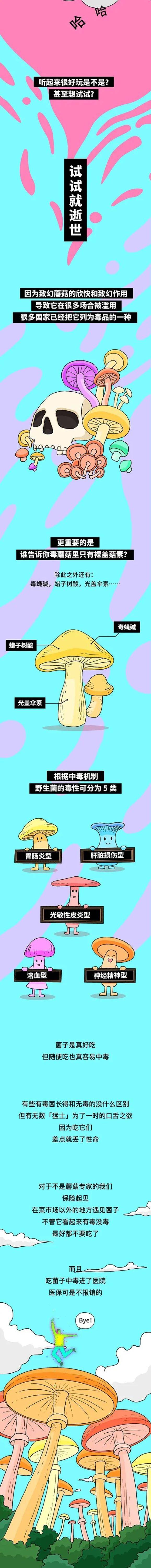 Schmidt|吃蘑菇中毒后，会看见什么？