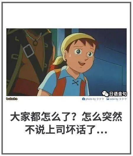 4989d2a9a33f44b391f10da50346ca26.jpeg